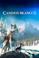 Caninos Brancos Caninos Brancos
