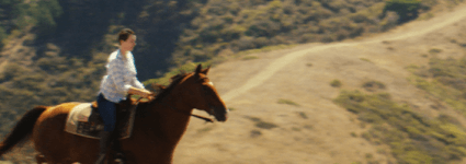 Corrida Selvagem
