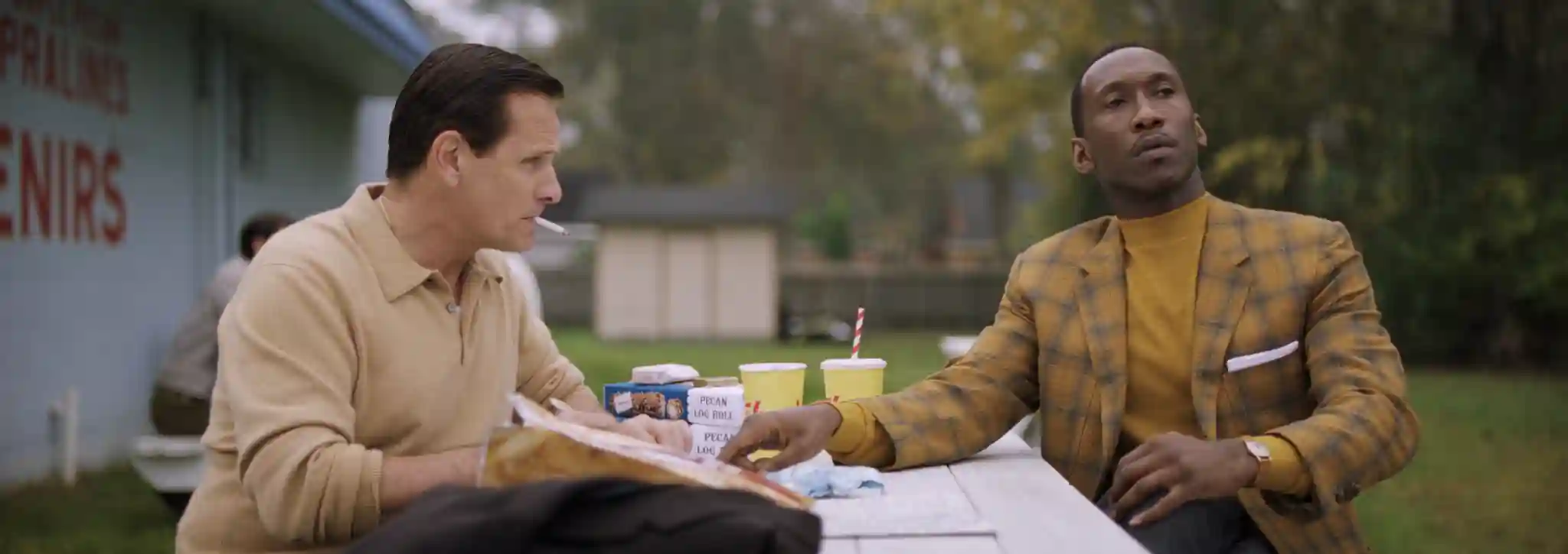 Green Book: O Guia