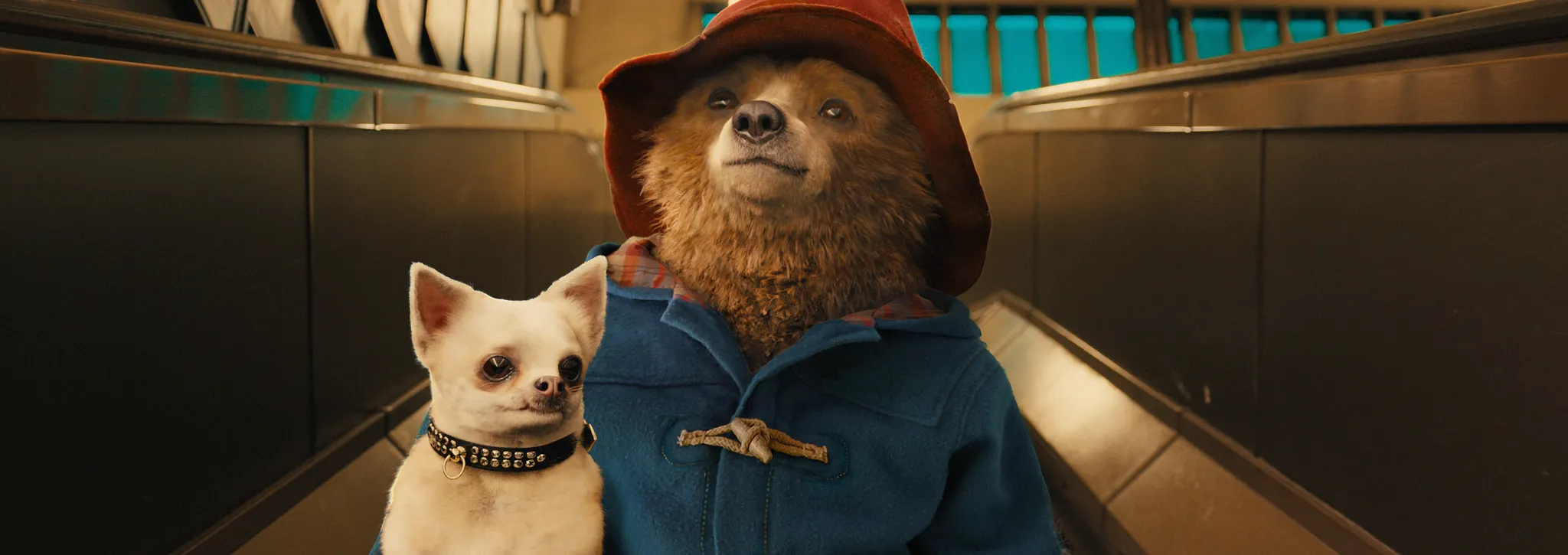 As aventuras de Paddington