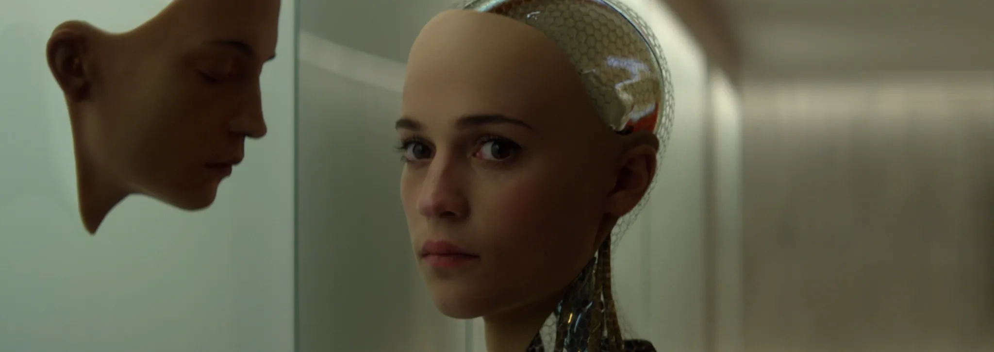 Ex-Machina: Instinto Artificial