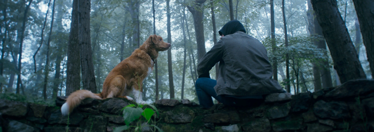 Good Boy: Confía en su instinto