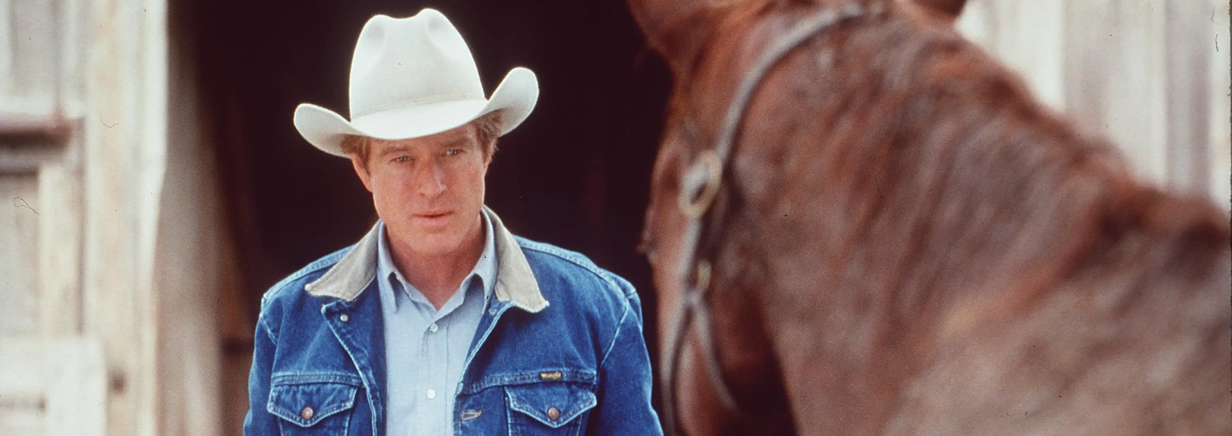 The Horse Whisperer