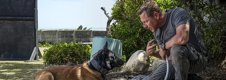 En busca de venganza 2: Ciudad de los lobos