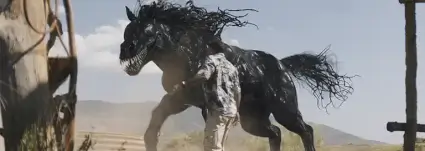 Venom: A Última Rodada