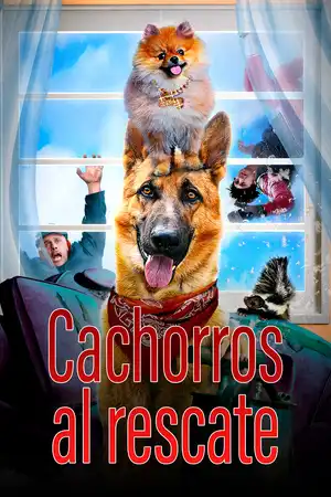Cachorros al rescate
