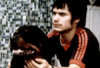 amores perros synopsis