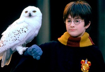 Harry Potter y la Piedra Filosofal