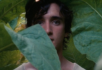 Lazzaro felice