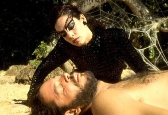 O Beijo da Mulher Aranha