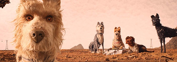 Ilha dos Cachorros