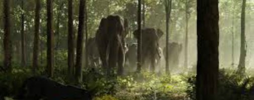 El libro de la selva