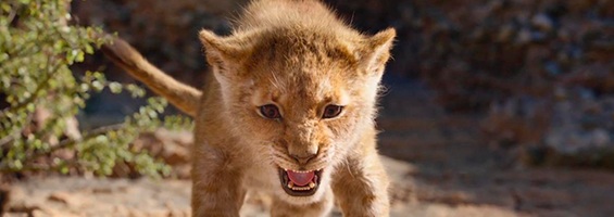 El rey león