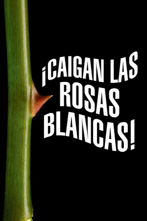 ¡Caigan las rosas blancas!: Una directora de cine para adultos desafía las normas de género al hacer una película porno ambientalista. Filmelier Image