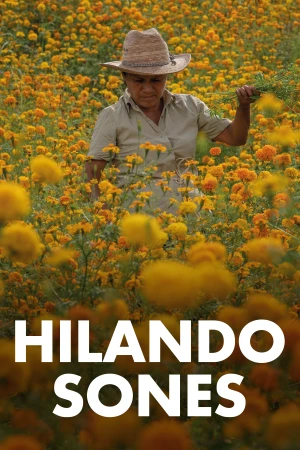 Hilando sones Filmelier Image