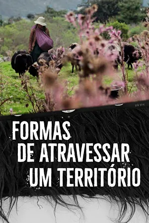 Formas de Atravessar um Território: Cinco mulheres indígenas Tsotsil, pastoras e tecelãs, buscam honrar a memória da terra enquanto enfrentam a modernidade e suas complexidades. Filmelier Image