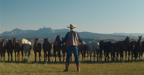 My Heroes Were Cowboys