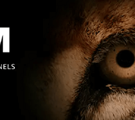 Canal MGM continua no Prime Video, afirma Amazon