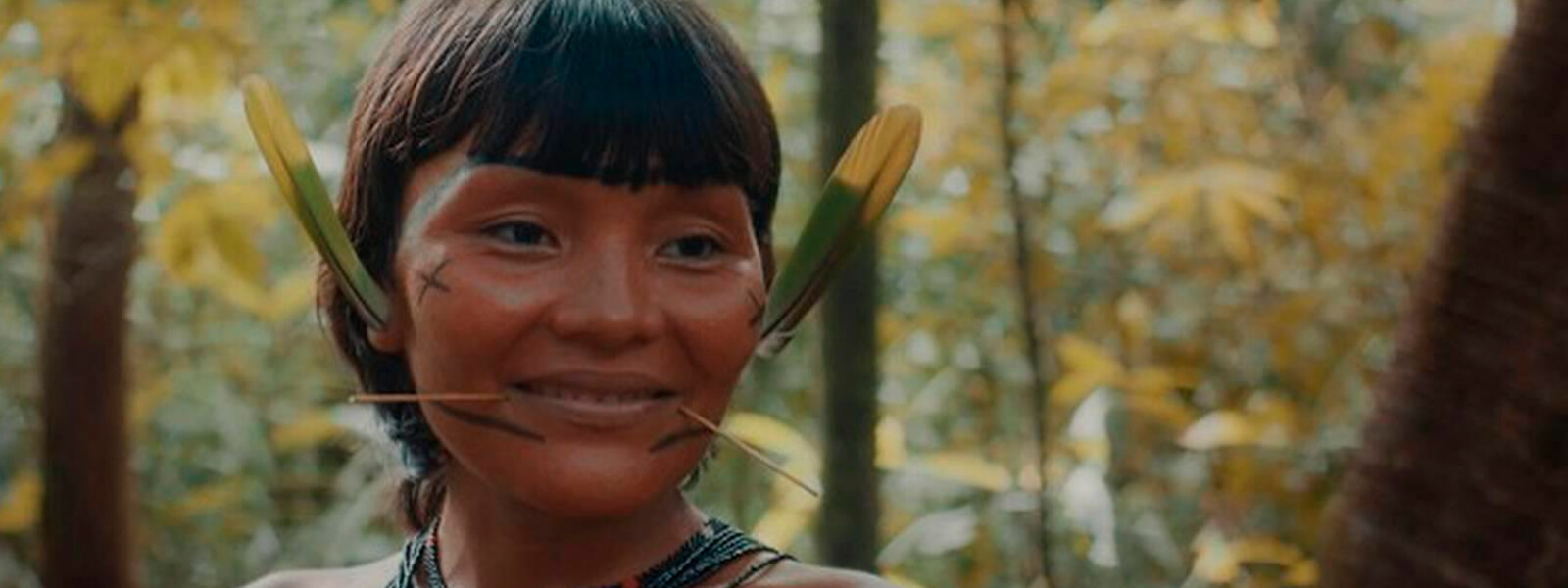 Documentário brasileiro ‘A Última Floresta’ é premiado no Festival de Berlim