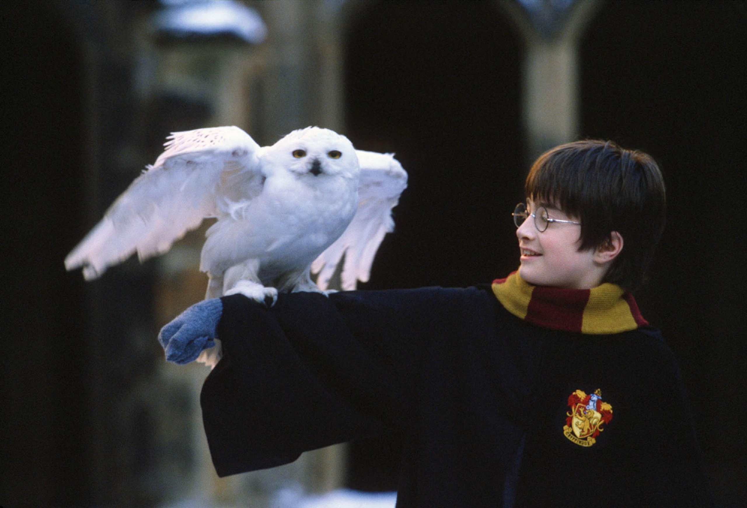 ‘Harry Potter e a Pedra Filosofal’ completa 20 anos e ganha nova edição comemorativa