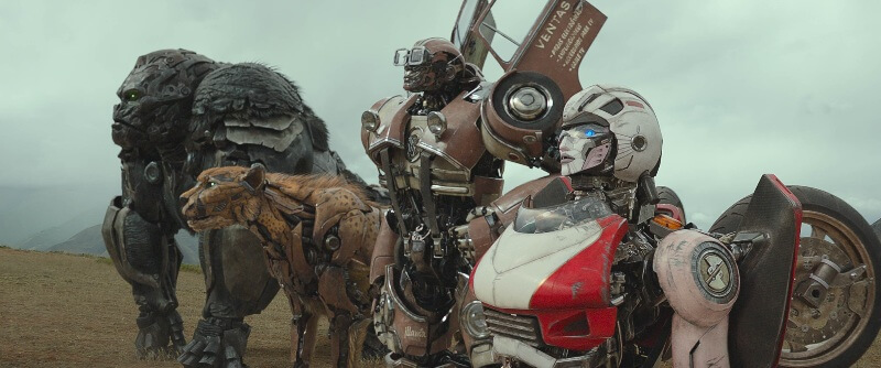 Encontro de Autobots e Maximals (da esq. para dir.): Optimus Primal, Cheetor, Wheeljack e Arcee