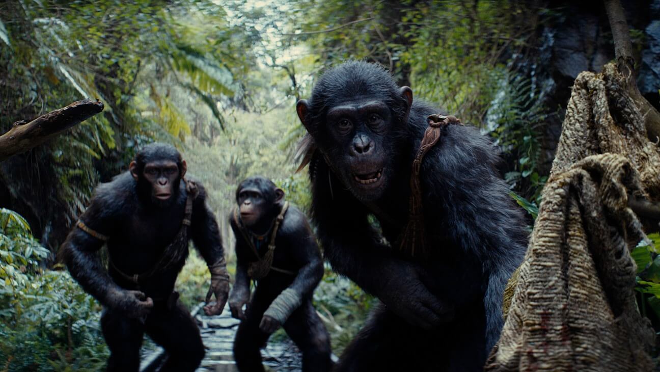 Noa e seus amigos são os protagonistas do novo Planeta dos Macacos: O Reinado (Crédito: Disney)