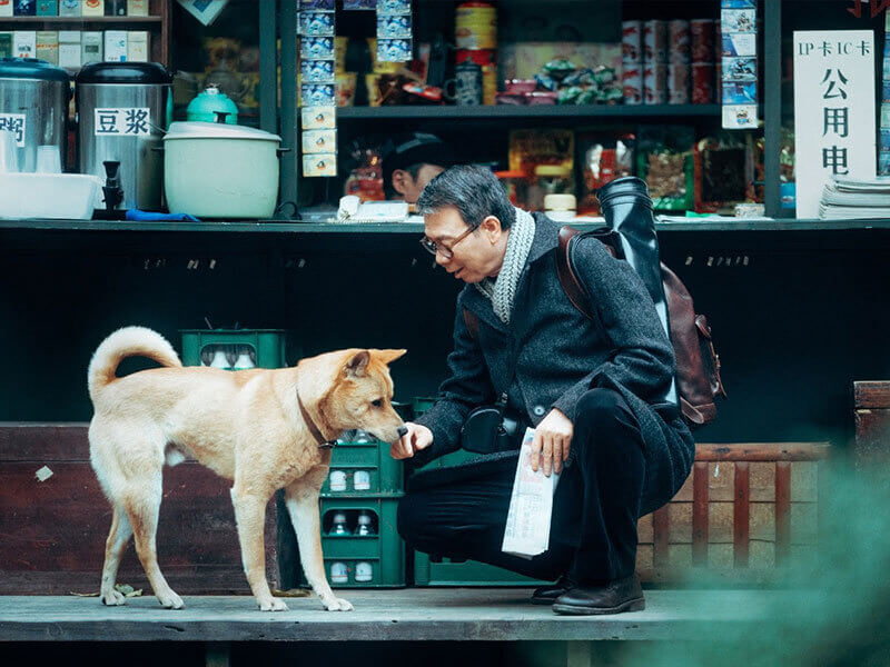 A história de Hachikō é um símbolo de lealdade em todo o mundo (Crédito: Paris Filmes)