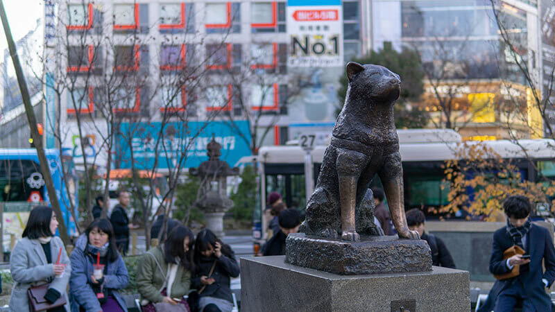 A estátua em homenagem ao cachorro em Shibuya, Tóquio (Crédito: Darel Low /Unsplash)