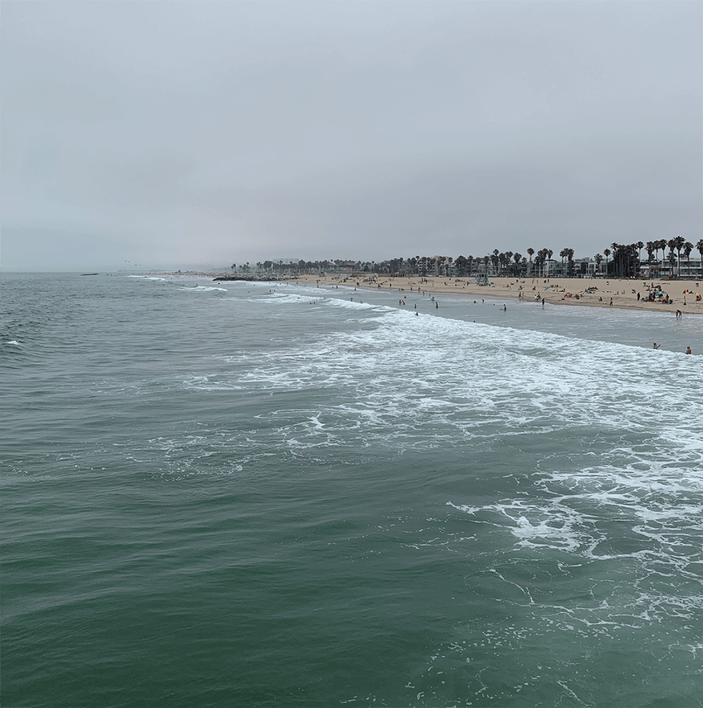 Venice Beach
