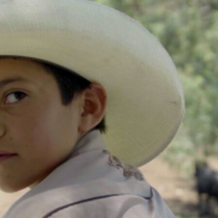 ‘Temporada de campo’: tráiler y fecha de estreno de la película mexicana
