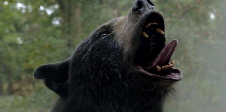 ‘Oso intoxicado’: la historia real de “Pablo Escobear”, el oso que inspira la película