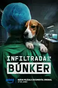 Filmelier Image