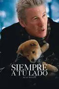 Filmelier Image