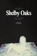 Shelby Oaks: A woman becomes obsessed with finding her sister, discovering that their childhood imaginary demon might be real, complicating her search. Filmelier Image