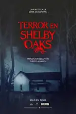 Póster de la película Terror en Shelby Oaks