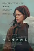 H Is for Hawk: A grieving woman bonds with a hawk, navigating loss and resilience in the wild. Filmelier Image