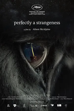 Perfectly a Strangeness Perfectly a Strangeness
