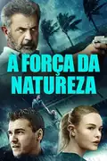 A Força da Natureza: Durante um furacão, policiais e moradores lutam contra assaltantes em um condomínio. Filmelier Image