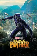 Black Panther: After the death of his father, a young prince must fight to protect his people and their way of life from a powerful enemy. Filmelier Image