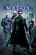 The Matrix: A hacker discovers the truth about his reality and joins the rebellion against its controllers. Filmelier Image