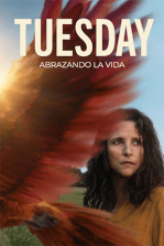 Tuesday: Abrazando la vida