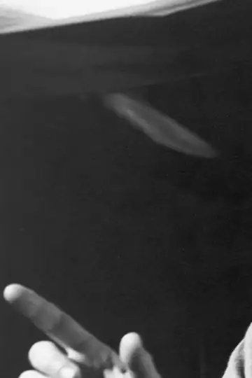 John A. Macdonald: The Impossible Idea