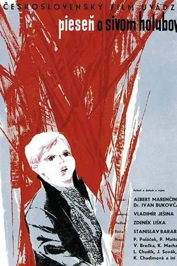 A Song About the Gray Pigeon