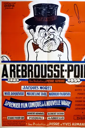 À rebrousse-poil