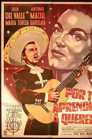 Por ti aprendí a querer