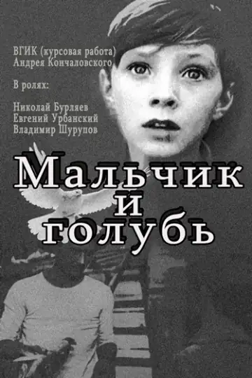 Malchik i golub: A 12-year-old boy struggles to obtain a pigeon, making sacrifices that lead to lessons about responsibility and freedom.