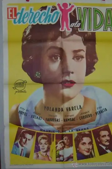 El derecho a la vida