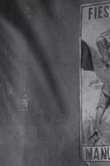 Portrait of a Matador