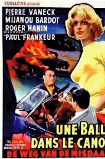 A Bullet in the Gun Barrel