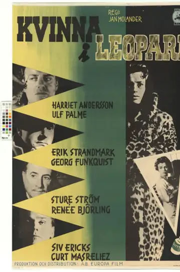 A Mulher do Pano de Pelo